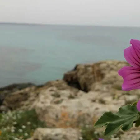 Сasa de vacaciones 252 Via Udine Gallipoli